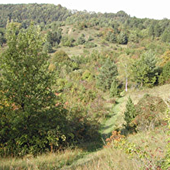 Sentier de la nature du Coteau du Chaumois à Parigny-les-Vaux - 