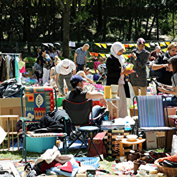 Vide grenier à Choye - COLOMBINE