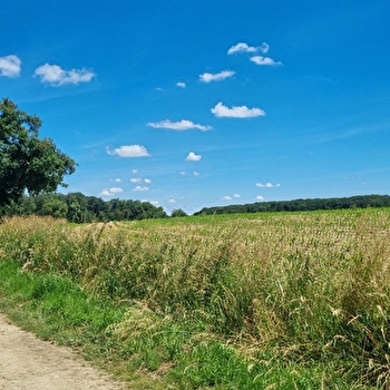 Circuit VTT-VTC n°13 (rouge) - Les chemins de St Jean - MONTREVEL-EN-BRESSE