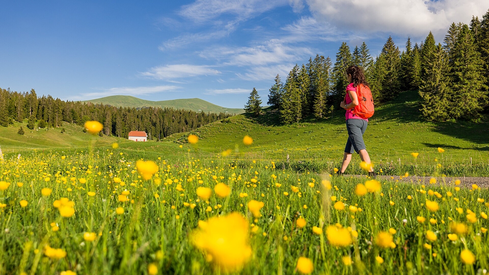 GRP Tour du Haut Jura Sud