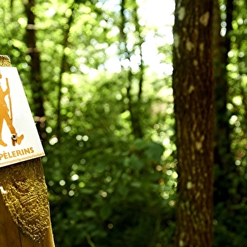 La boucle du Bois de Brenil - SAULIEU