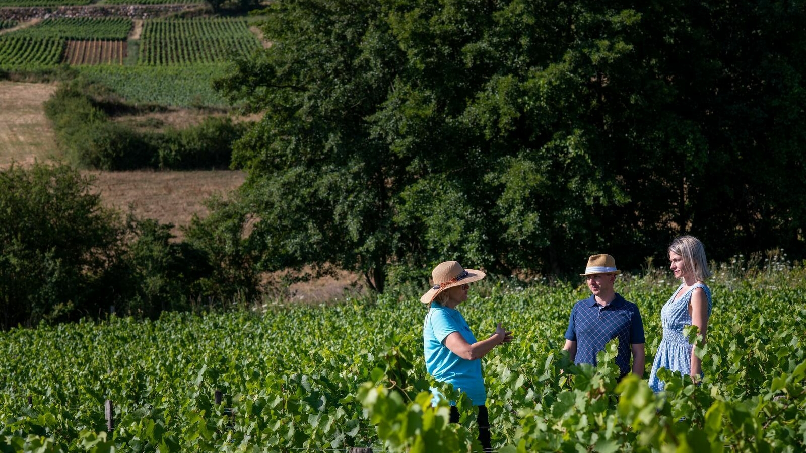 Balade des sens au Domaine de la Luolle