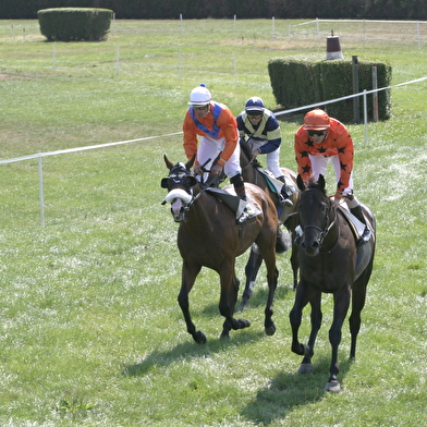 Hippodrome de Cluny