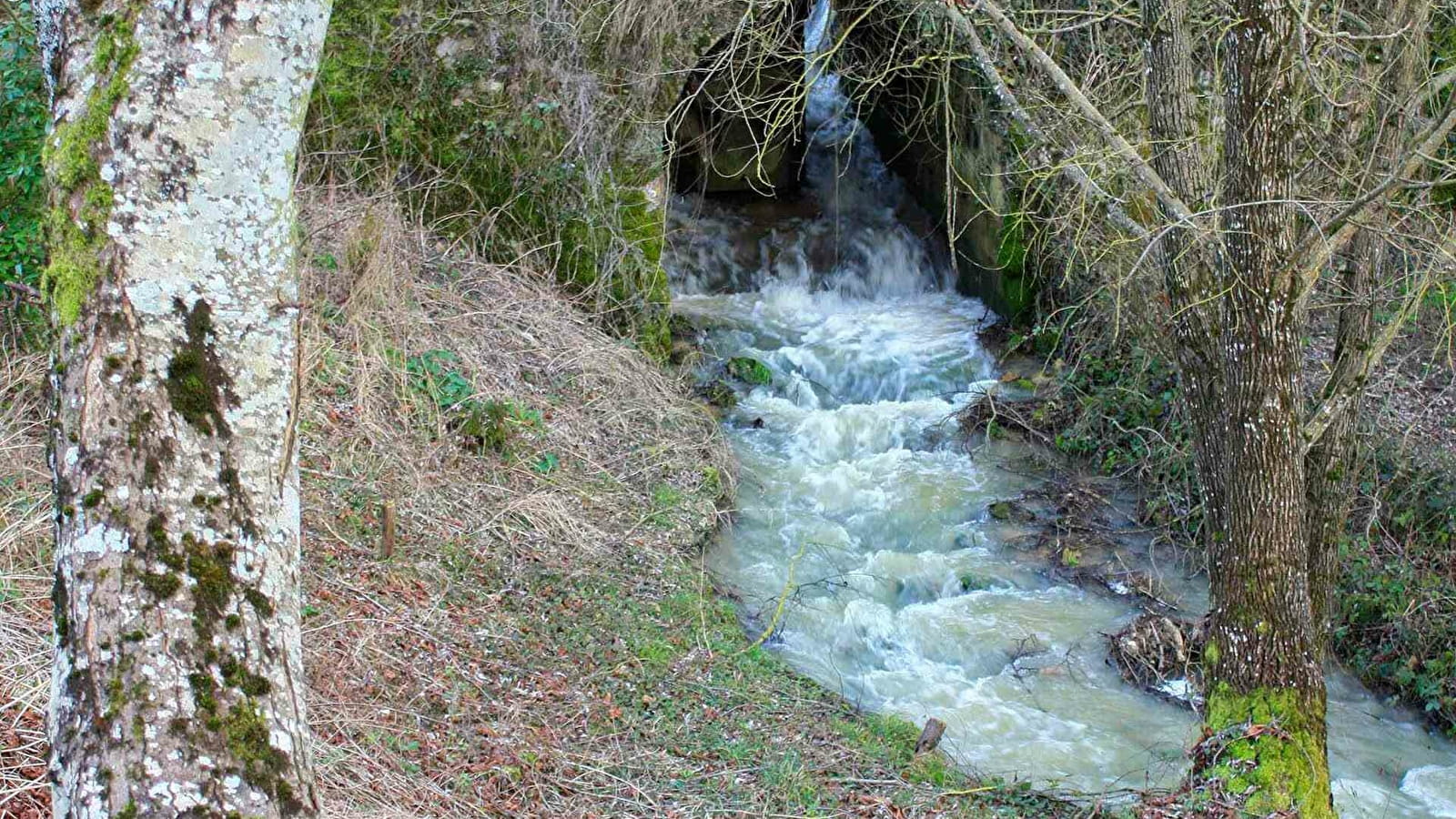 Circuit de l'eau et des bois