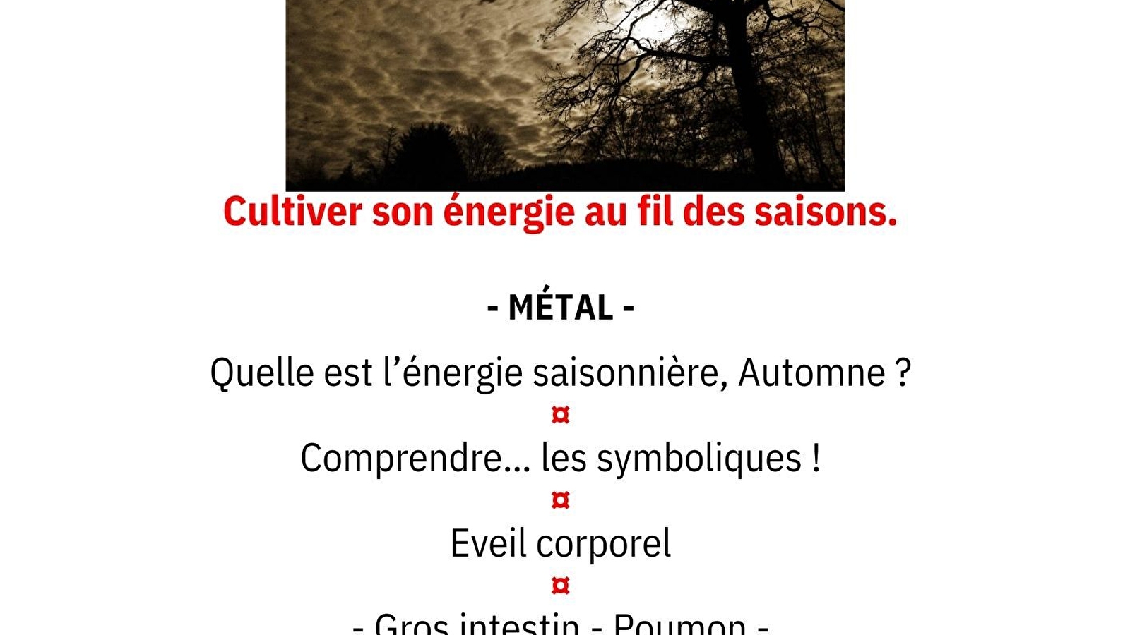 Atelier SHIATSU 'Cultiver son énergie au fil des saisons.'