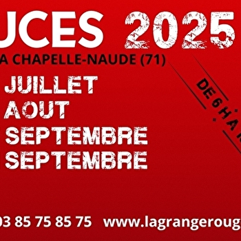 Puces de la Grange Rouge - LA CHAPELLE-NAUDE