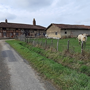 Circuit VTT-VTC n°22 (bleu) La Petite Sarrasine - SAINT-TRIVIER-DE-COURTES
