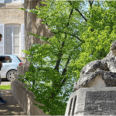 Visite et activité découverte de Beaune sous forme de chasse au trésor : La Quête de Guigone... 