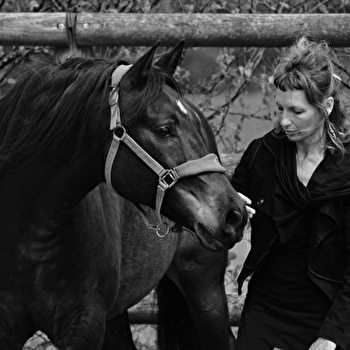 VOYAGE AU PAYS DU CHEVAL - PAGNOZ