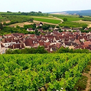 Festival Notes d'été - IRANCY