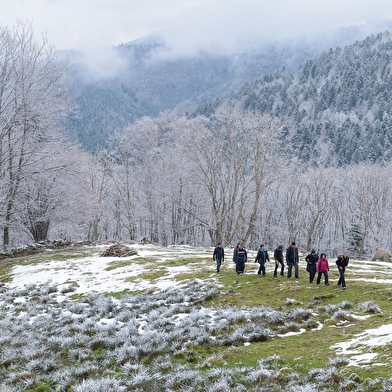 Le Parc naturel regional des Ballons des Vosges