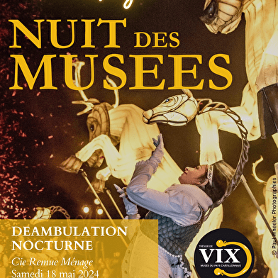 Nuit Européennes des Musées - Les 15 ans du Musée du Pays Châtillonnais - Trésor de Vix 