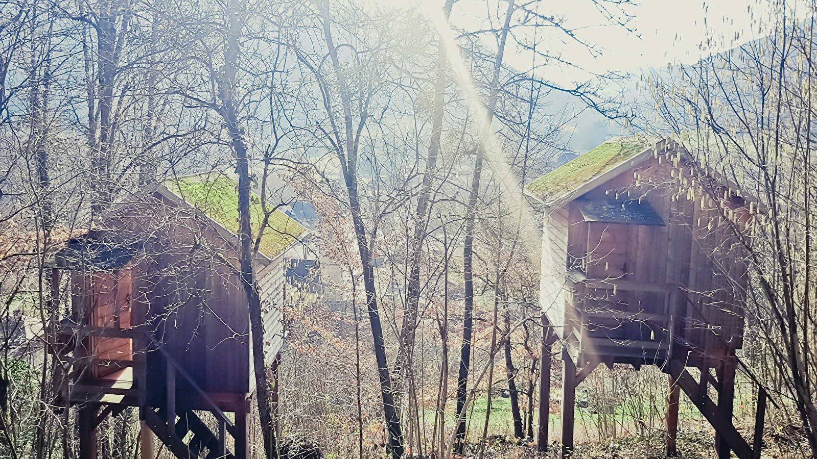 Les cabanes des Repaires