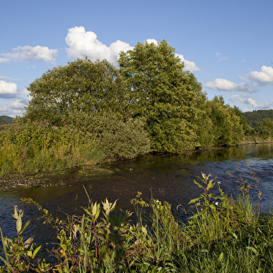 Pêche aux guidons