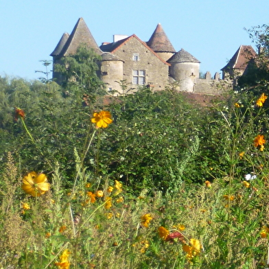 Château Pontus de Tyard