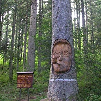 Sapin Président - LES FOURGS