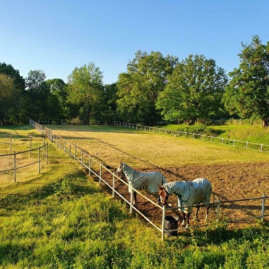 Ferme Equestre et  Chambres d'hôtes Gateau Stables