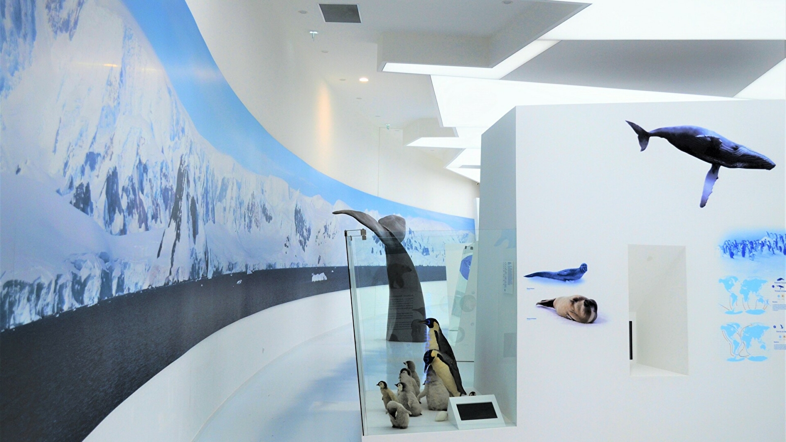Musée de l'Espace des Mondes Polaires