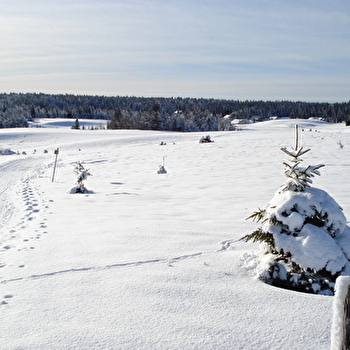 Site Nordique de Bellefontaine - BELLEFONTAINE