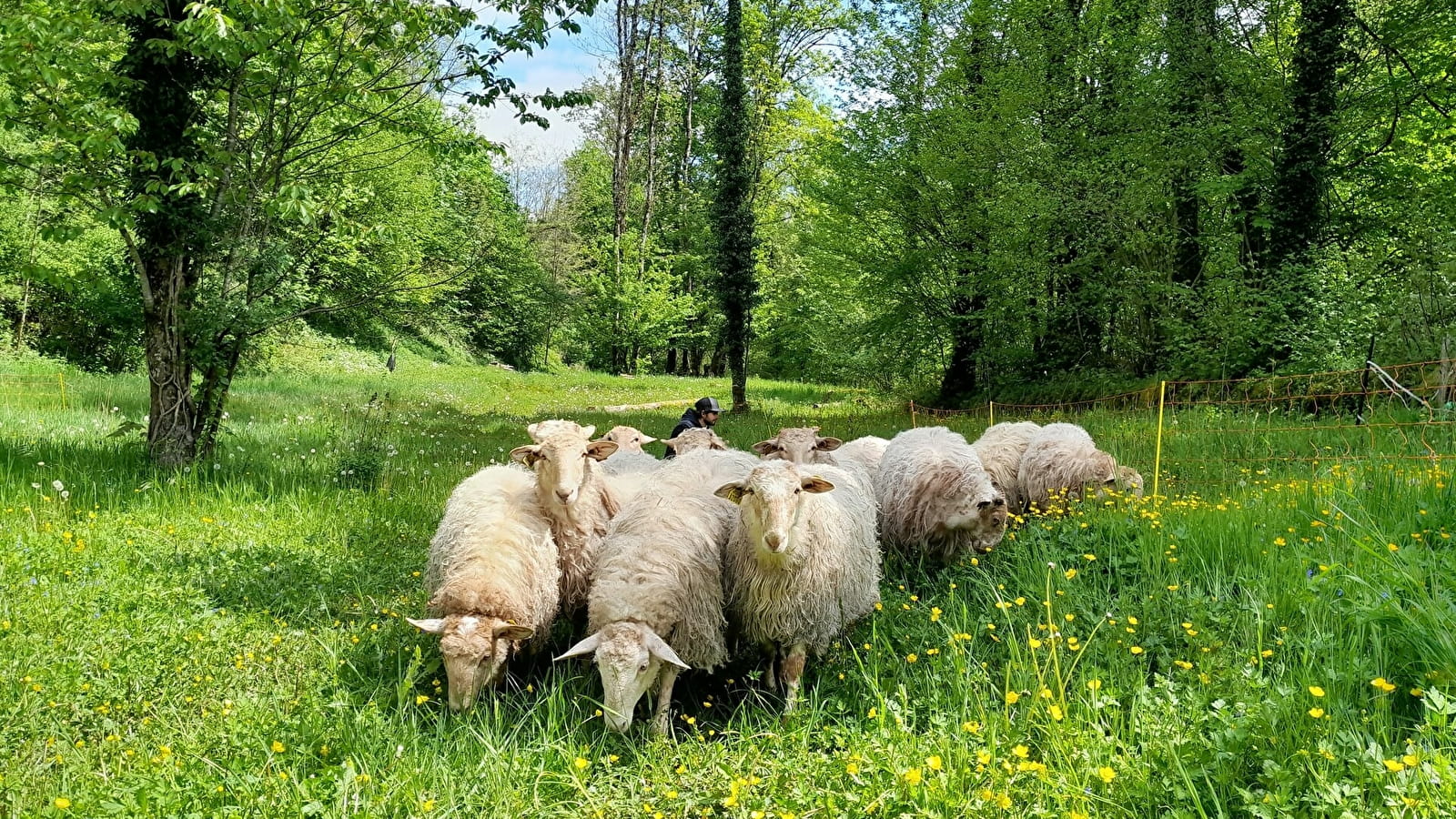 La Bergerie du Champ Devant