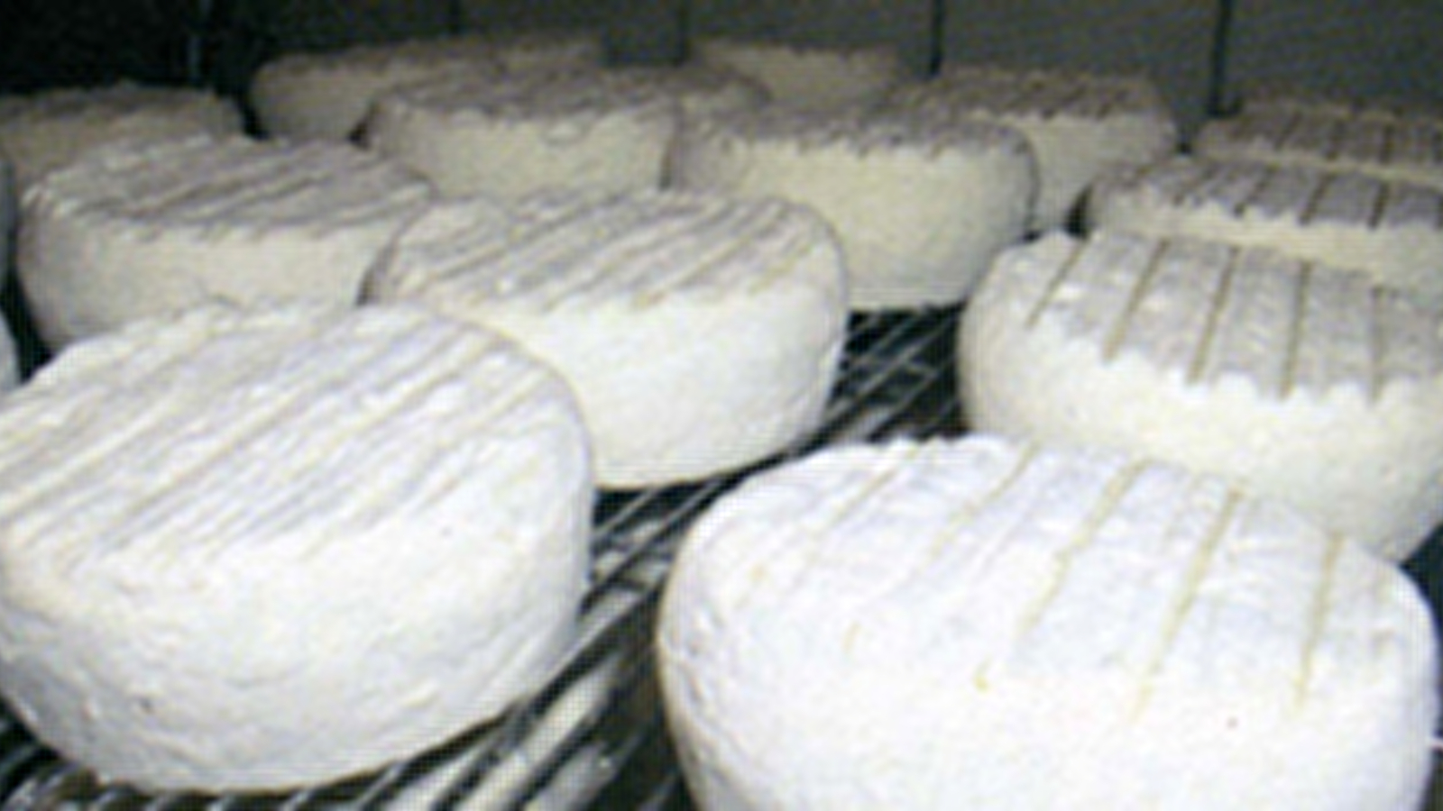 Fromagerie de Neuftables