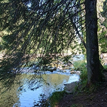 Gorges du Fourperet - LONGEVILLES-MONT-D'OR