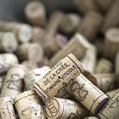 Expérience Collection - Dégustation des Hospices de Beaune, Les Fondateurs - Château de la Crée