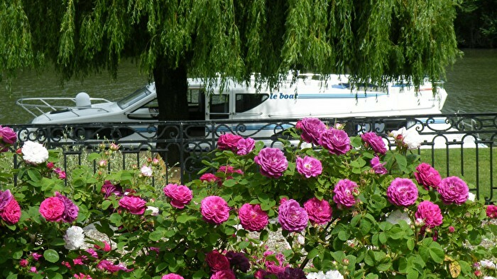 Halte fluviale