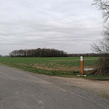 Lieu de parachutage - Seconde Guerre mondiale - SAINT-CYR