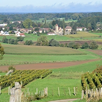 Repas champêtre - AUMONT