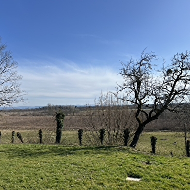 Meublé