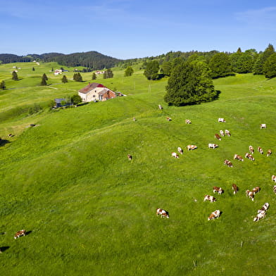 Office de Tourisme Haut-Jura Saint-Claude - BIT de Lajoux