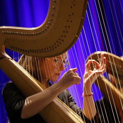Concert du Nouvel An : Made in France