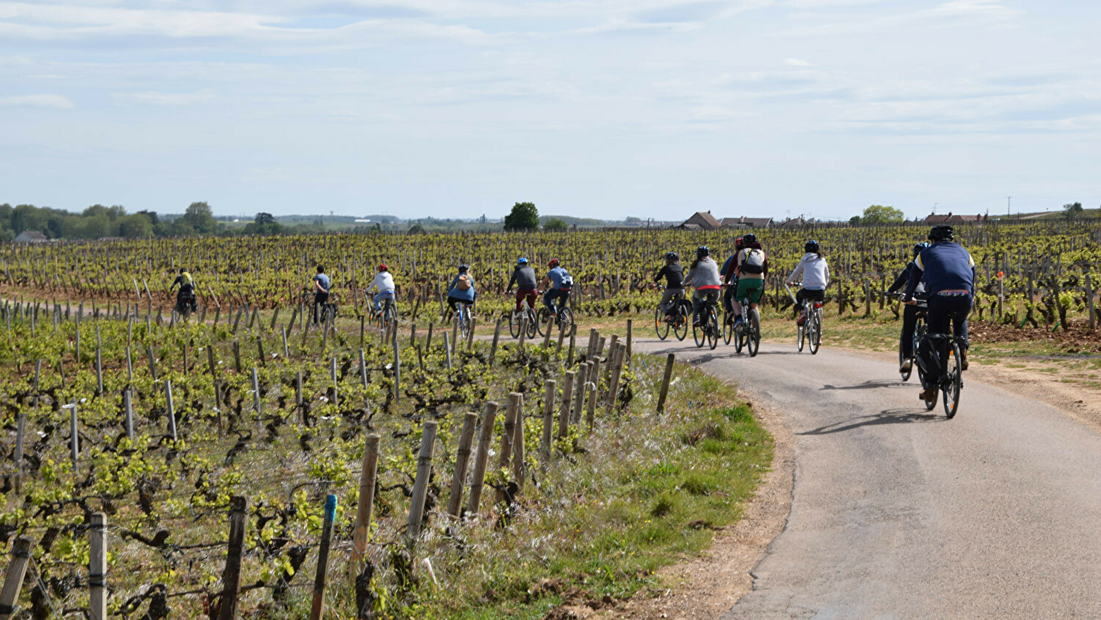 Velovitamine - Balade Oenologique à vélo 'Côte de Nuits 1er Cru' Dijon à Gevrey-Chambertin