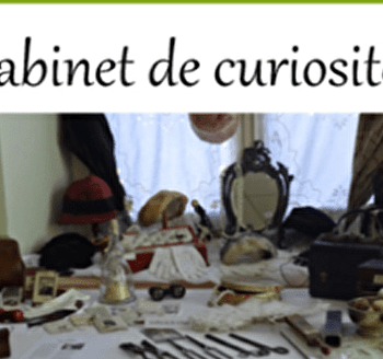 Cabinet de curiosités - LODS