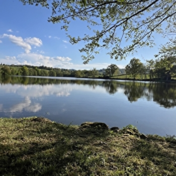 Etang de la Vernée - DOMPIERRE-LES-ORMES