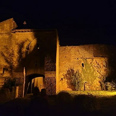 Visite guidée nocturne de la ville 