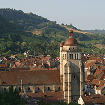 La collégiale Saint-Hippolyte - POLIGNY