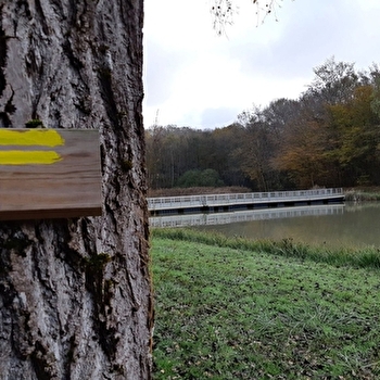 Coligny - Etang de Fougemagne (VTT) - COLIGNY