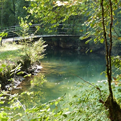 Vallée du Cusancin, Belvoir et environs