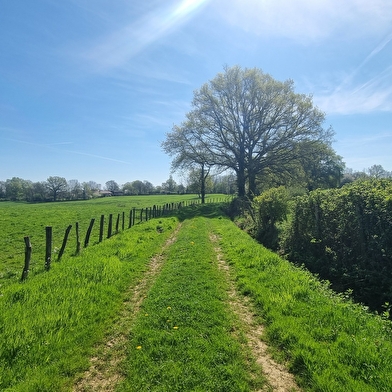 Liaison VTT (L4) St Trivier de Courtes - Ferme de la Forêt