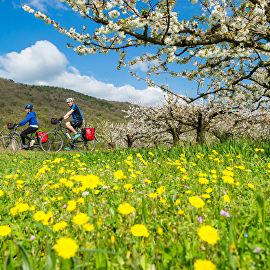 ViaRhôna (EV17) - Du Léman à la Méditerranée à vélo en 17 jours