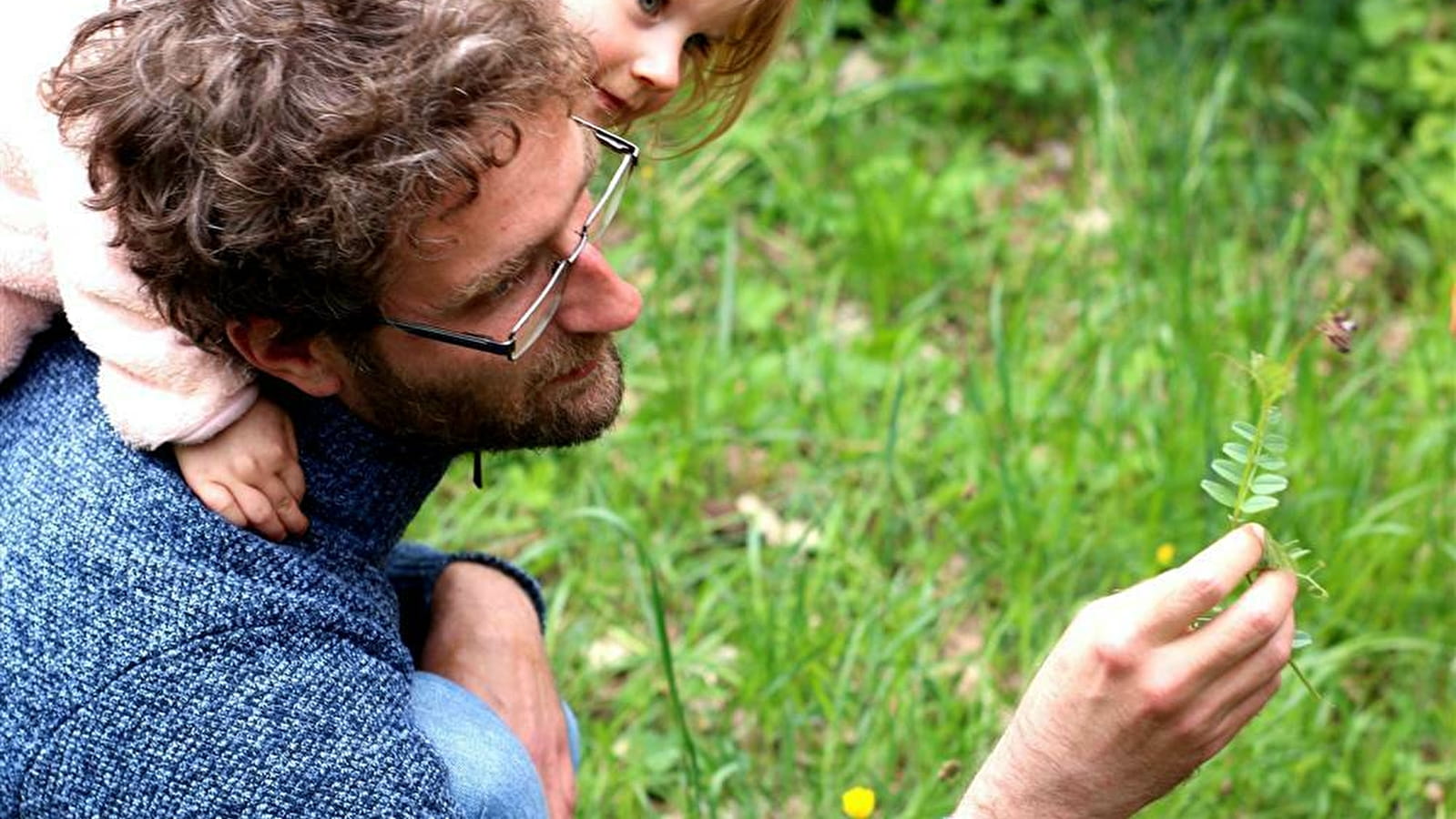 Sortie Découverte - Plantes sauvages comestibles et médicinales de la vallée de la Loue