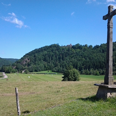 VTT n°49 - Le Mont du Breuchin