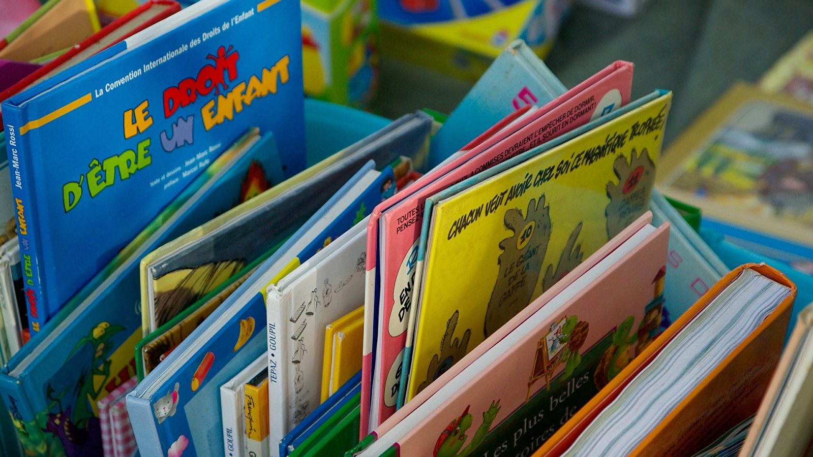 Bourse aux livres de Reugney