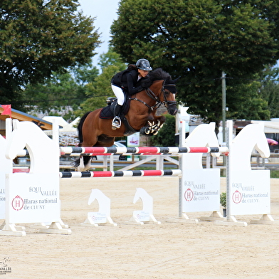 Concours Hippique - Tournée des As saut d'obstacle Poney