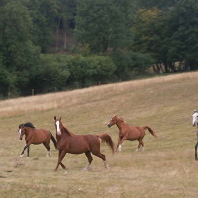 A Cheval Sur Soi