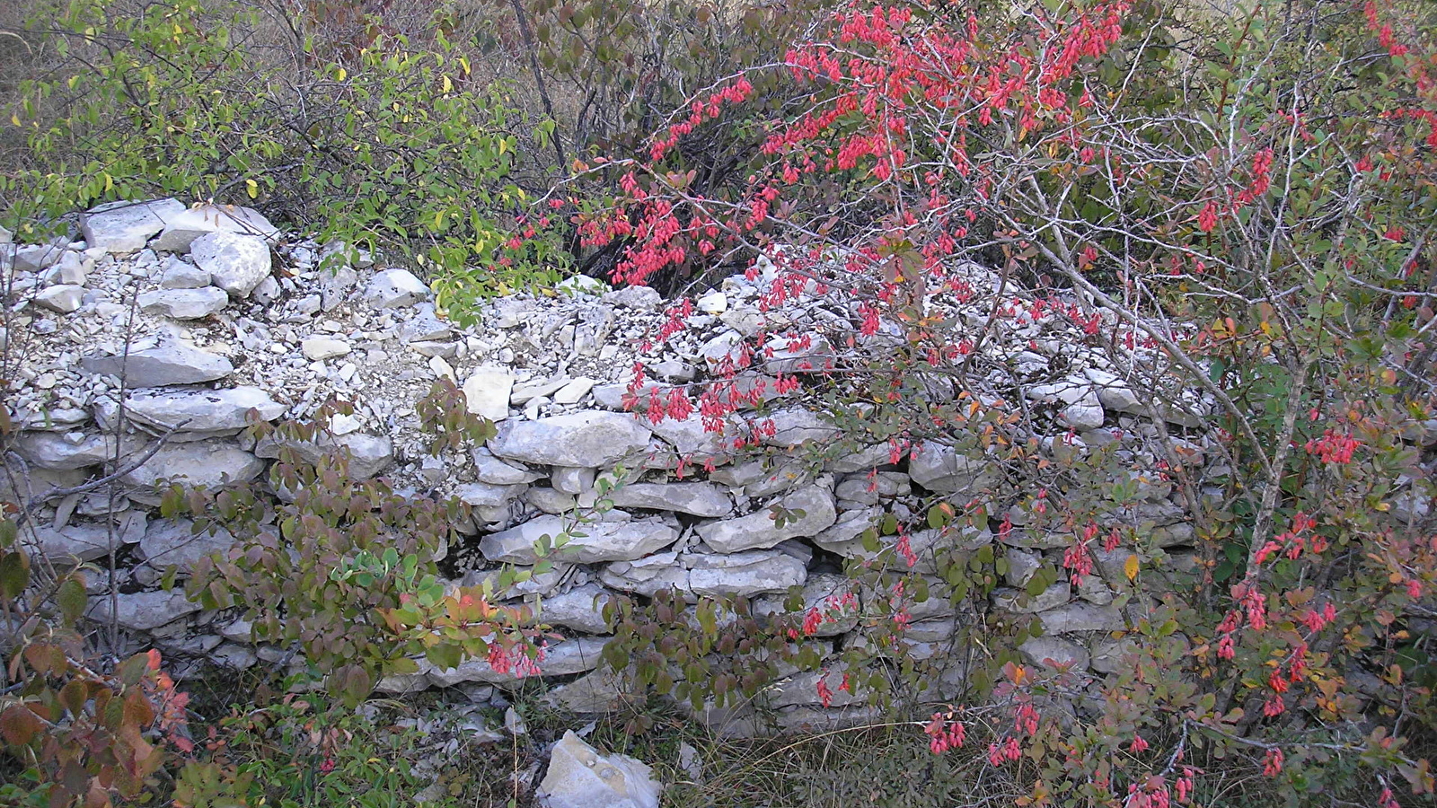 Escapades nature : A la découverte des roches