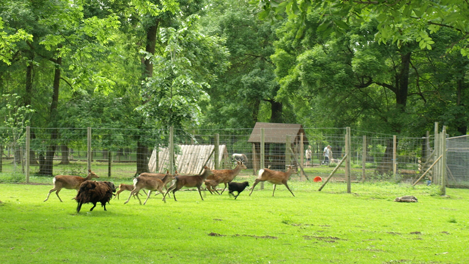 Parc des Vernaux