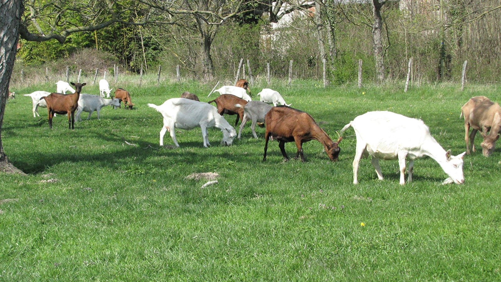 Ferme 'Le Chêne' 